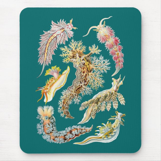 Sea slugs mouse pad (Front)
