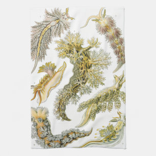 Sea Slugs, Snails by Ernst Haeckel, Vintage Animal Kitchen Towel