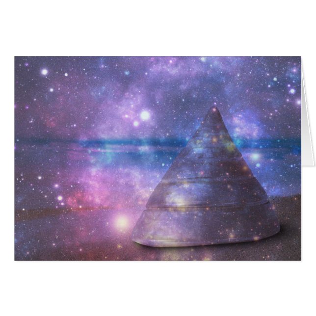 Sea Snail Shell Trochidae Beach Sand Space (Front Horizontal)