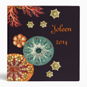 Sea Squirt Remix Binder