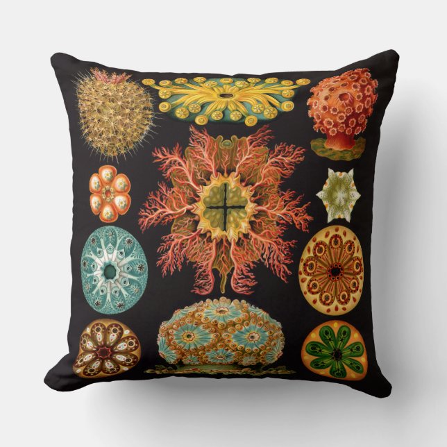 Sea Squirt Square Throw Pillow (Front)