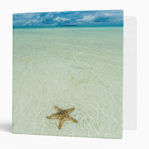Sea star in shallow water, Palau Binder