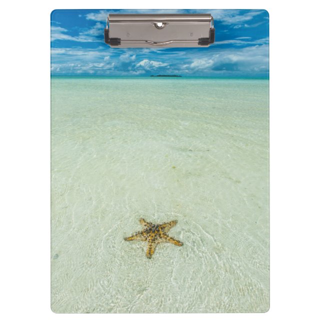 Sea star in shallow water, Palau Clipboard (Front)