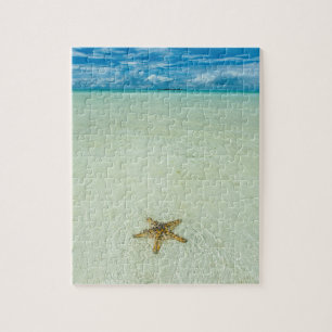 Sea star in shallow water, Palau Jigsaw Puzzle