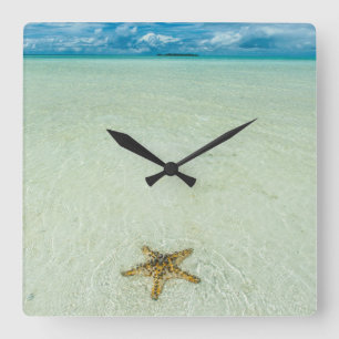 Sea star in shallow water, Palau Square Wall Clock