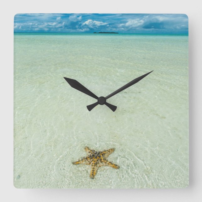 Sea star in shallow water, Palau Square Wall Clock (Front)