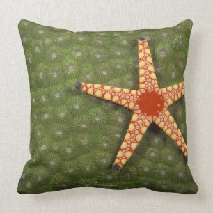 Sea Star Throw Pillow