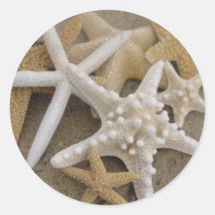 Sea Stars Classic Round Sticker