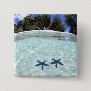 Sea stars, Rock Islands, Palau 2 Inch Square Button