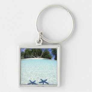 Sea stars, Rock Islands, Palau Keychain
