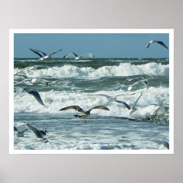 Sea, Surf, Seagulls, Blue Sky Poster (Front)