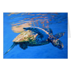 Sea Turtle