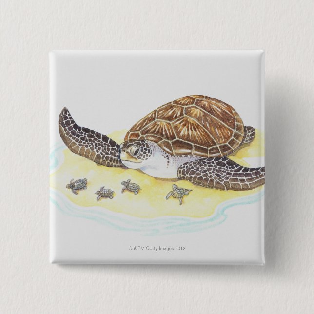 Sea Turtle and Babies 2 Inch Square Button (Front)