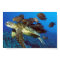 Sea Turtle and Fish Print