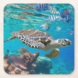 Sea Turtle and Fish Square Paper Coaster