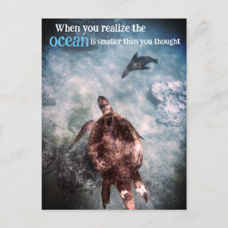 Sea turtle and sea lion underwater holiday postcard