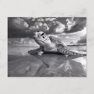 Sea Turtle Black and White Art Postcard