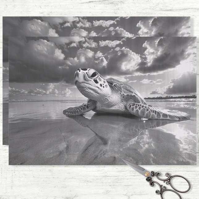 Sea Turtle Black and White Decoupage Tissue Paper (Creator Uploaded)