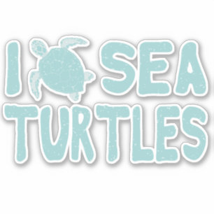 Sea Turtle Blue Marine Wildlife