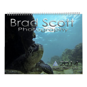Sea Turtle Calendar by Brad Scott Photography