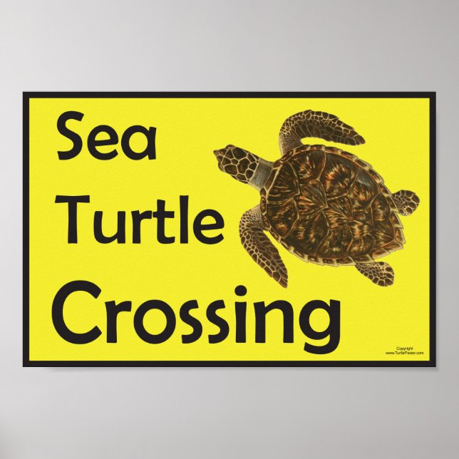 Sea Turtle Crossing Caution Poster (Front)
