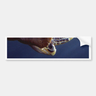 Sea Turtle Diving Bumper Sticker