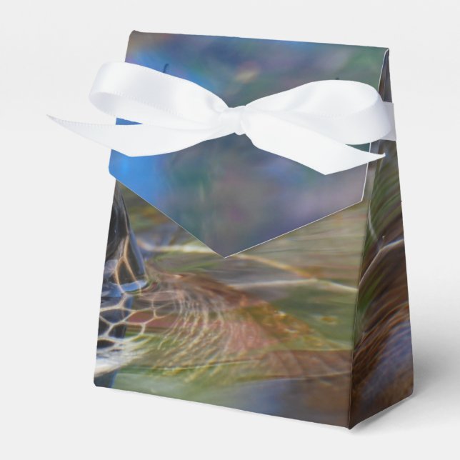 Sea Turtle Favor Box (Front Side)
