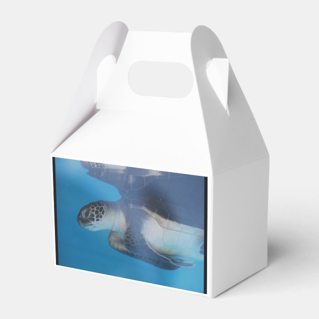 Sea Turtle Favor Box (Front Side)