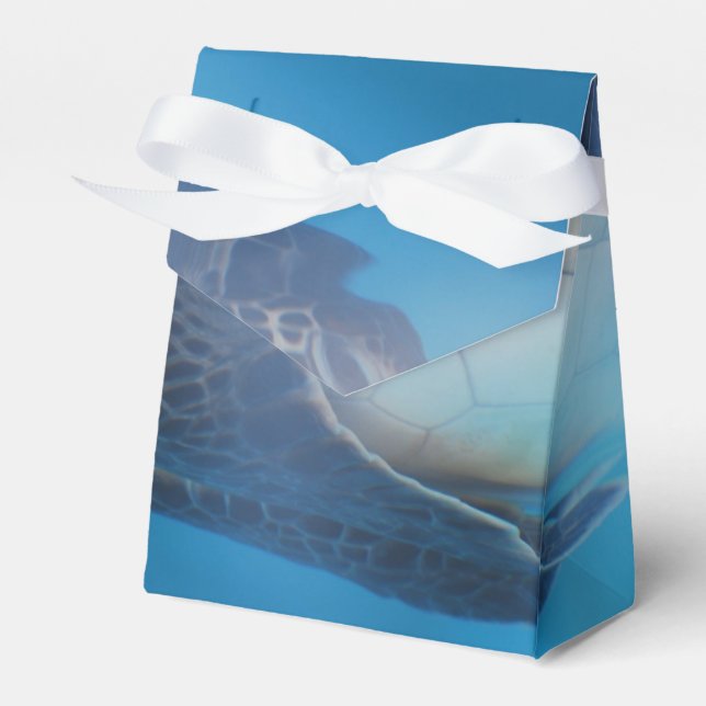 Sea Turtle Favor Box (Front Side)