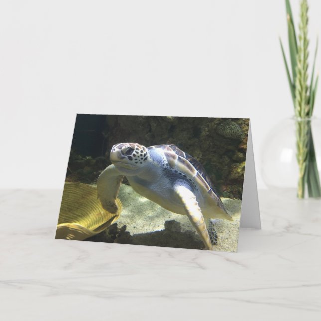 sea turtle greeting card (blank inside) (Front)