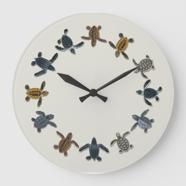 Sea Turtle Hatchling Wall Clock (Front)