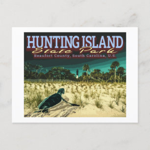 SEA TURTLE - HUNTING ISLAND - SOUTH CAROLINA US POSTCARD
