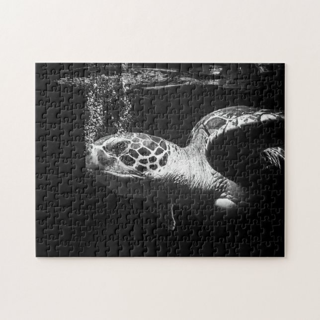 Sea Turtle in black and white, Jigsaw Puzzle (Horizontal)