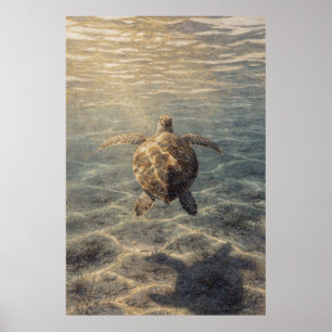 Sea Turtle in Clear Blue Water Poster