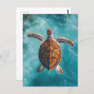 Sea Turtle in Turquoise Ocean Postcard