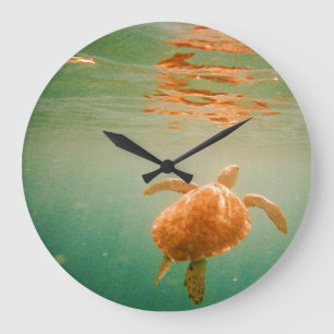 Sea Turtle Lage Wall Clock