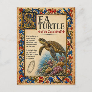 Sea Turtle, Medieval Bestiary Art Postcard