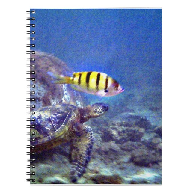 Sea turtle  notebook (Front)