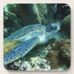Sea Turtle on Seabed Photo Coaster