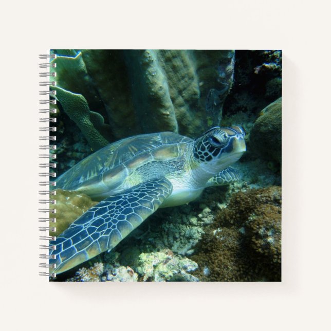 Sea Turtle on Seabed Photo Notebook (Front)