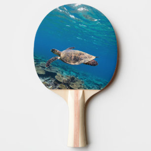 Sea turtle ping pong paddle