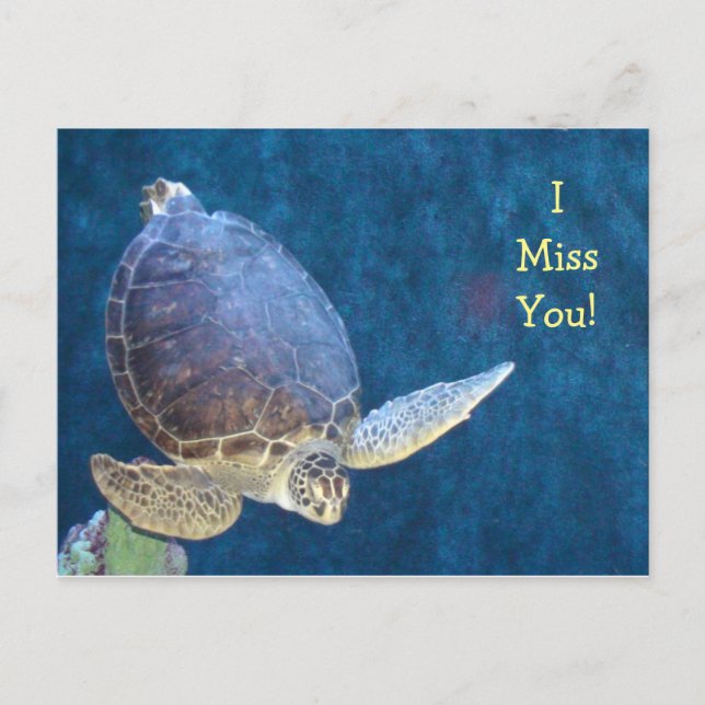 Sea Turtle Post Card (Add your own Text) (Front)