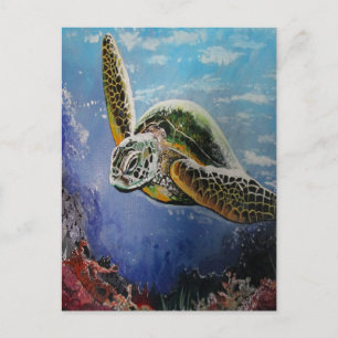 Sea Turtle Postcard