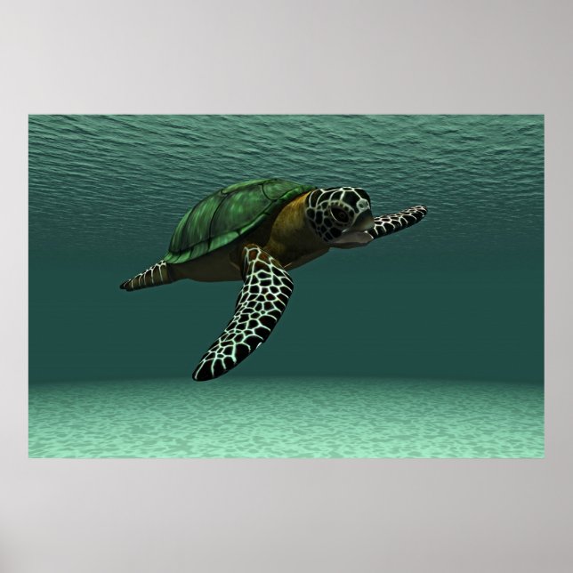 Sea turtle poster (Front)