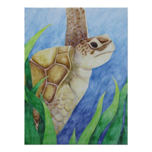 Sea Turtle Poster (Front)