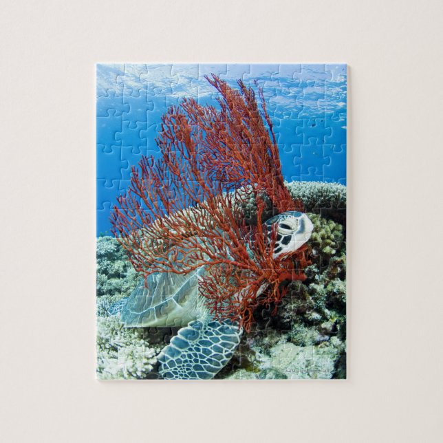 Sea Turtle Resting Jigsaw Puzzle (Vertical)