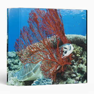 Sea turtle resting underwater 2 binder