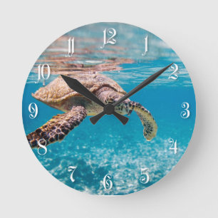 Sea turtle round clock