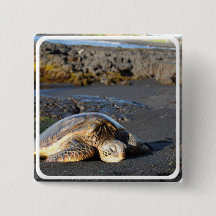Sea Turtle Square Pin