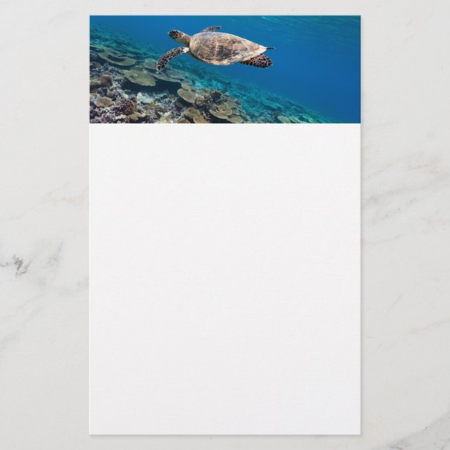 Sea turtle stationery (Front)